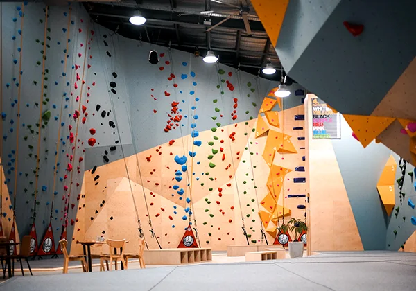 Climbing Wall Builders