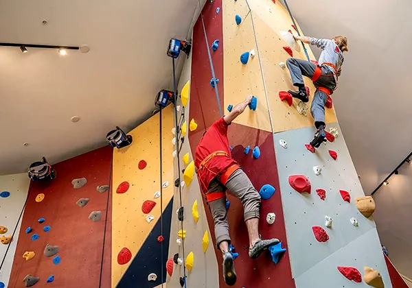 Rock Climbing Wall