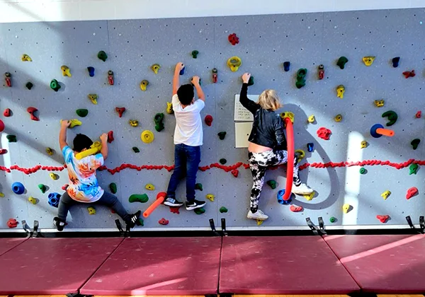 School Climbing Wall