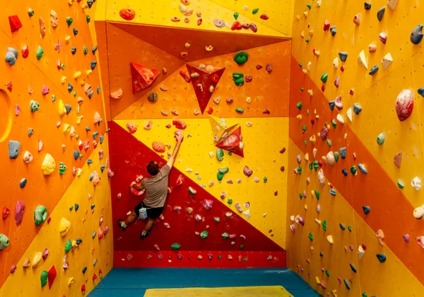 Climbing Wall