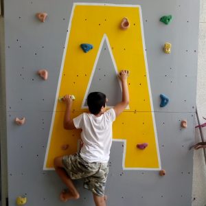 Kids Climbing Wall