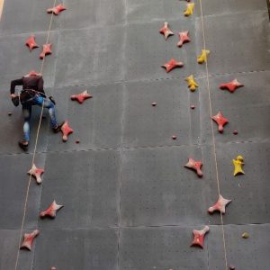 Speed Climbing Wall