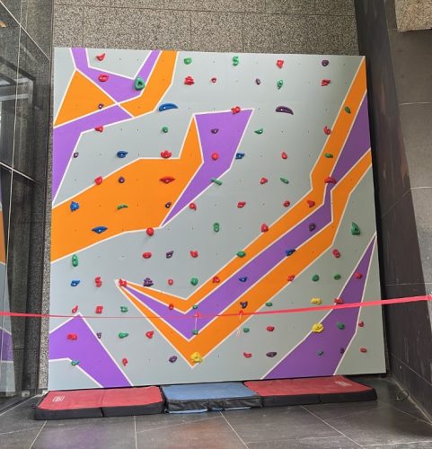 Ilusiam Gym Bouldering Climbing Wall - Pune
