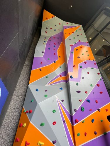 Ilusiam Gym Lead Climbing Wall - Pune